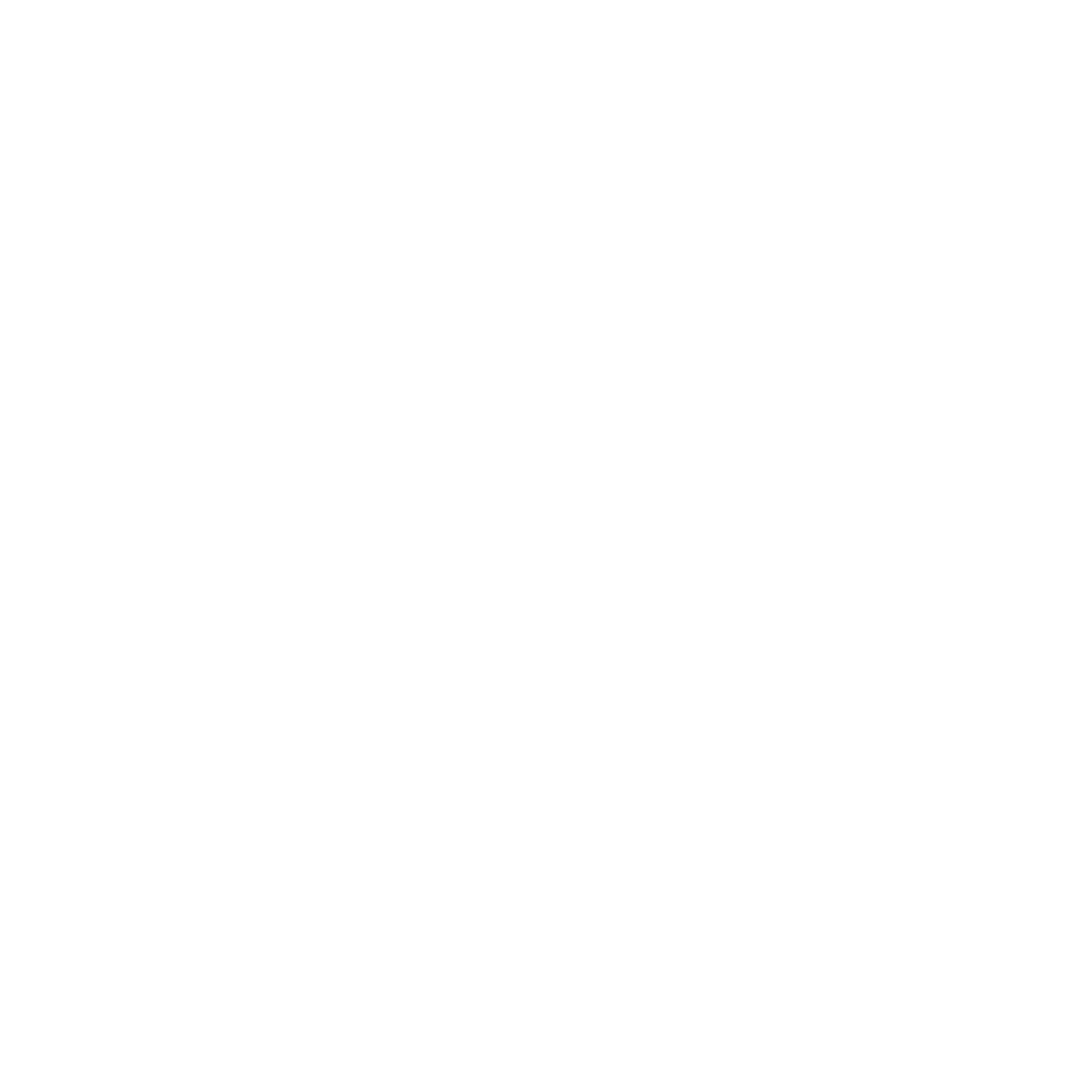 Bajwa White House